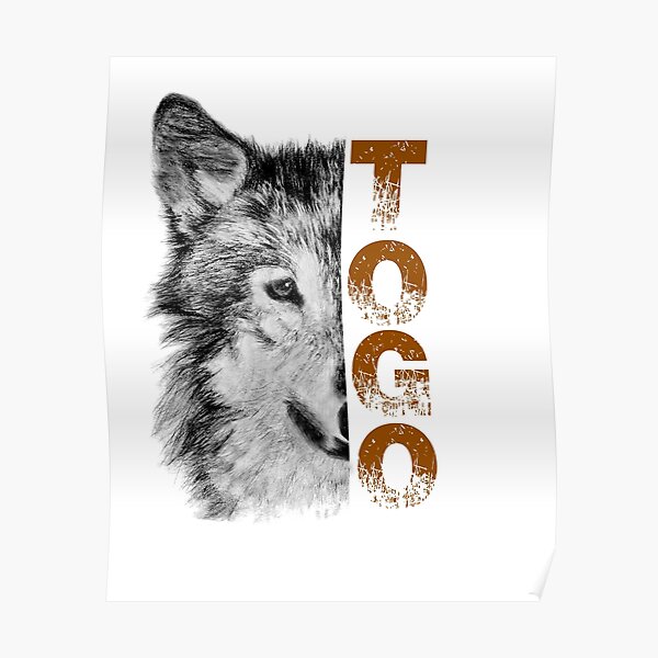 togo dog Poster