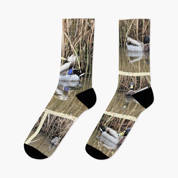 Item preview, Marvelous Mallard designed and sold by DonnaM.
