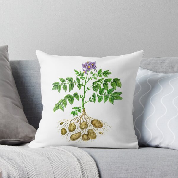 Item preview, Potato (Solanum tuberosum) designed and sold by Tamara Clark.