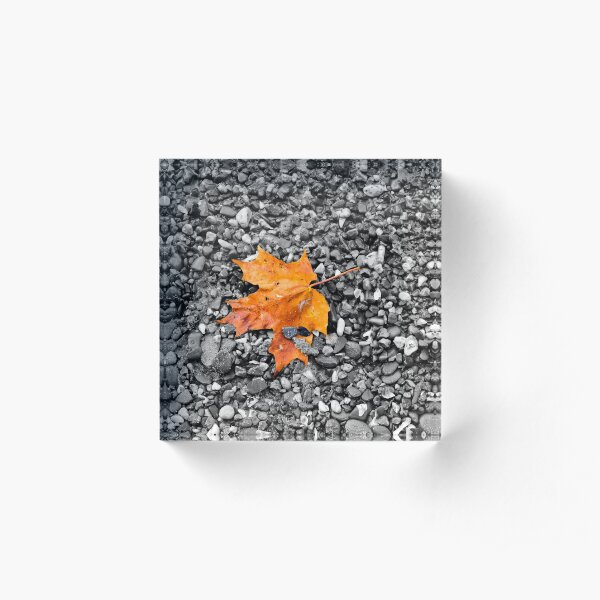 First Sign of Autumn Acrylic Block