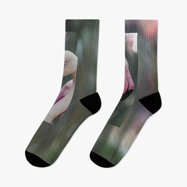 Item preview, Pair of African Greater Flamingos enjoy mist designed and sold by KbytesOfJax Outdoor and Nature.