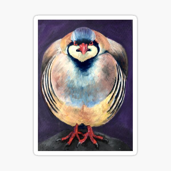 A handpainted Chukar Partridge on black watercolor paper. Sticker