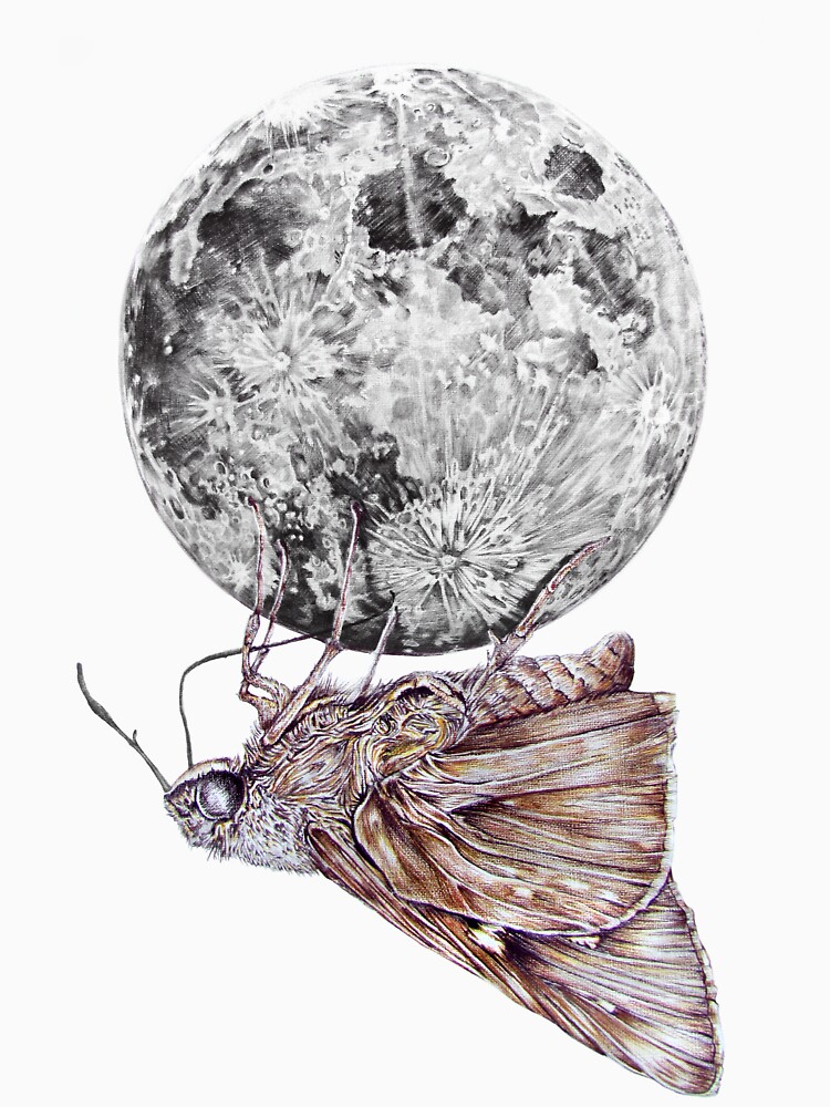 In which a moth is enticed by the light of the moon by jamesormiston
