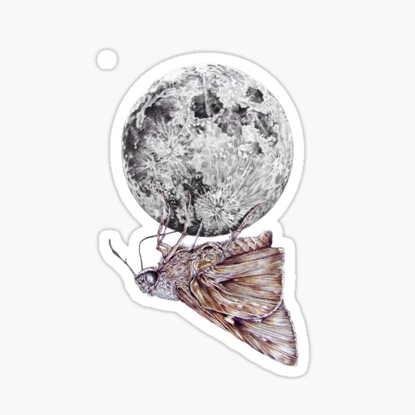 In which a moth is enticed by the light of the moon Sticker