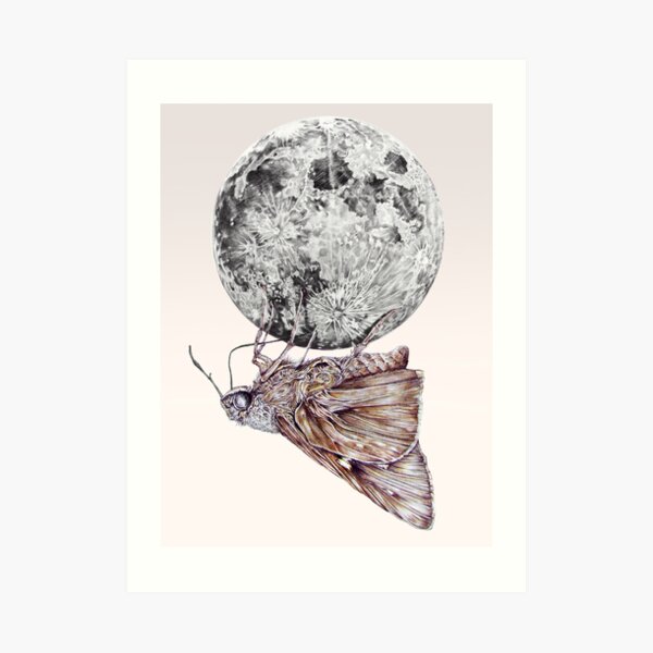 In which a moth is enticed by the light of the moon Art Print
