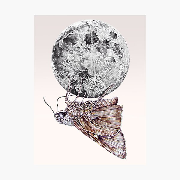Item preview, In which a moth is enticed by the light of the moon designed and sold by jamesormiston.
