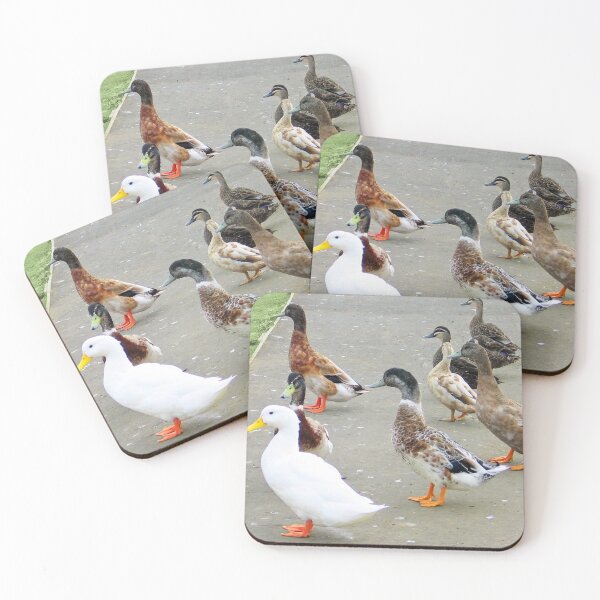 Item preview, This Way Chaps! designed and sold by Margaret Stevens.