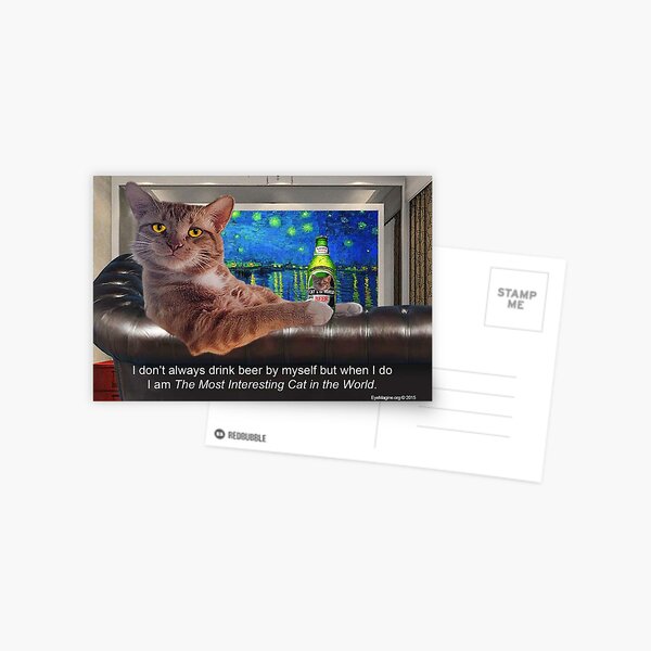 The Most Interesting Cat Postcard