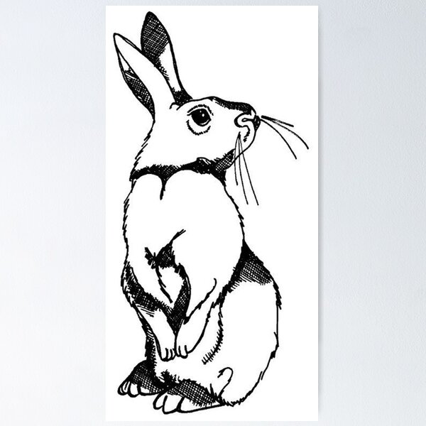 Artikelvorschau, Rabbit entworfen und verkauft von AnimalDreaming.