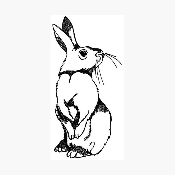 Item preview, Rabbit designed and sold by AnimalDreaming.