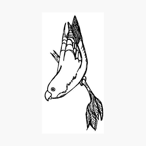 Artikelvorschau, Parrot entworfen und verkauft von AnimalDreaming.