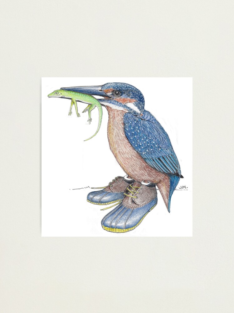 Alternate view of Kingfisher in duck shoes Photographic Print
