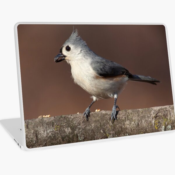 Birds of Ontario - Tufted Titmouse Laptop Skin
