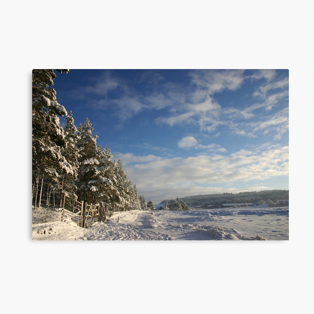 Christmas Day, Tomatin, Cairngorm & Monadhliath Canvas Print