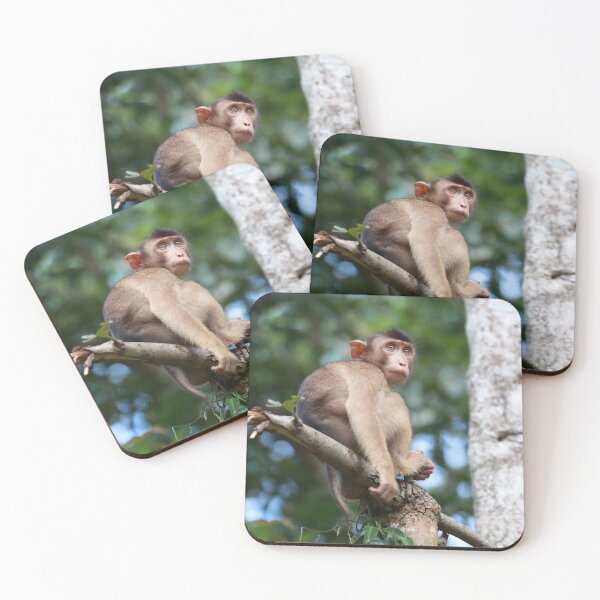 Item preview, Pig-Tailed Macaque designed and sold by mlorenz.