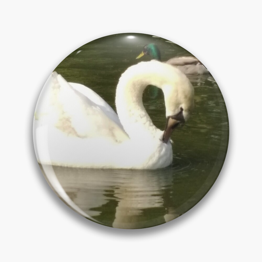 M.I. #58 |☼| Swan - Shot 16 (Pearson Park) Pin