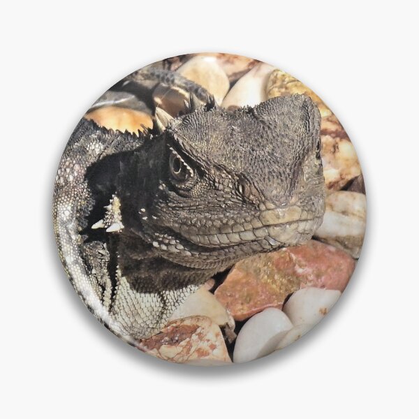 Item preview, Sleepy Goanna designed and sold by Margaret Stevens.