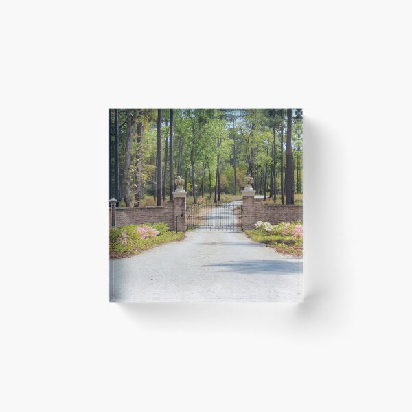 Item preview, Gated Road In The Woods designed and sold by Cynthia48.
