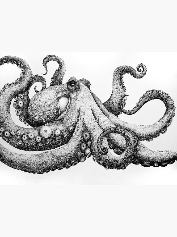 octopus drawing