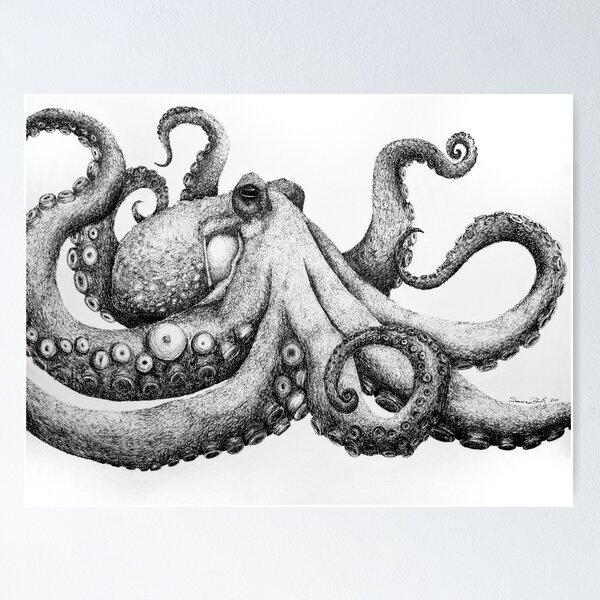 Item preview, Octopus Drawing designed and sold by sglauvitz.