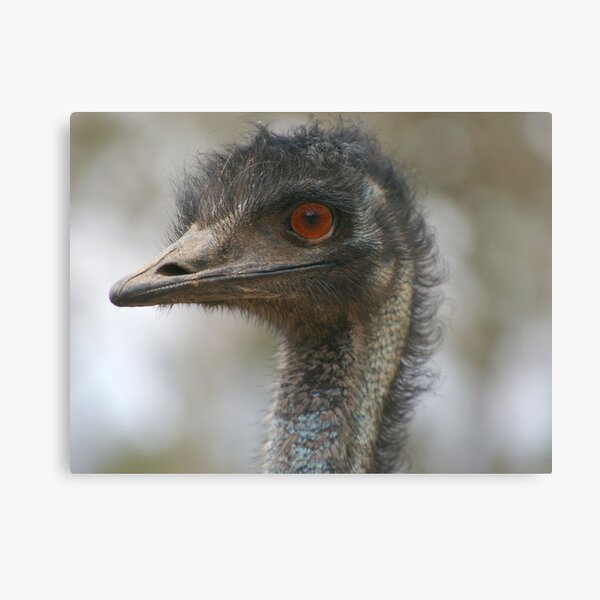 Up Close And Personal Canvas Print