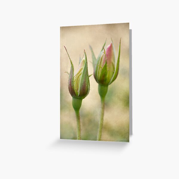 Item preview, togetherness designed and sold by Teresa Pople.