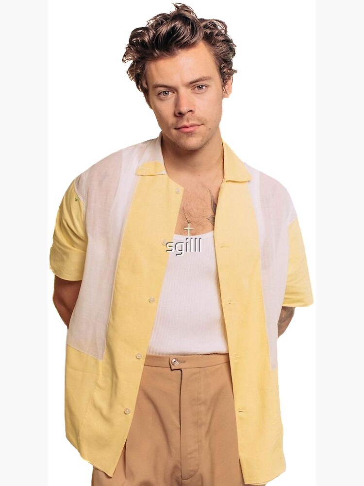 Harry by sgilll