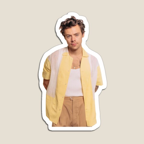 Harry Styles Magnets | Redbubble