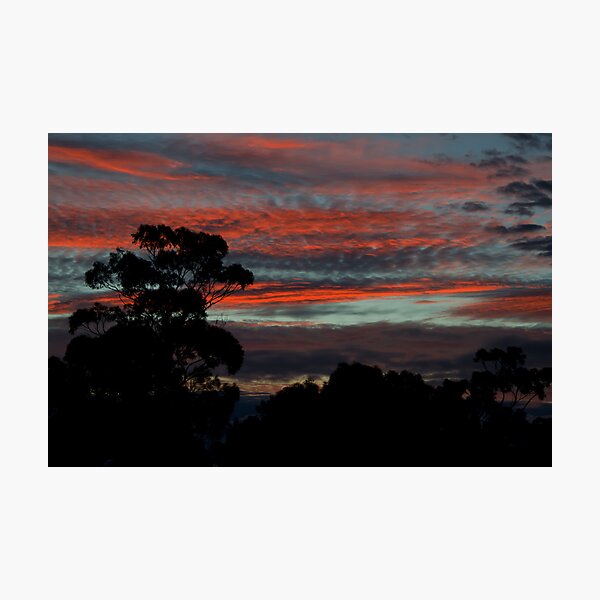 Aperçu de l'œuvre Coles Bay sunset créée et vendue par Jessy Willemse.