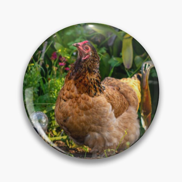 Item preview, Chook Friendly Garden designed and sold by FigTreeMagick.