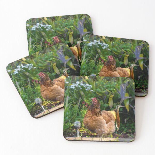 Item preview, Chook Friendly Garden designed and sold by FigTreeMagick.