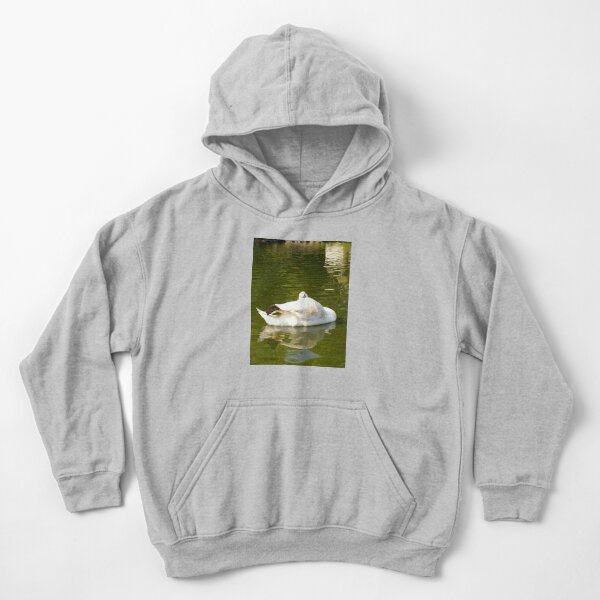 Merch #59 -- Swan - Shot 17 (Pearson Park) Kids Pullover Hoodie