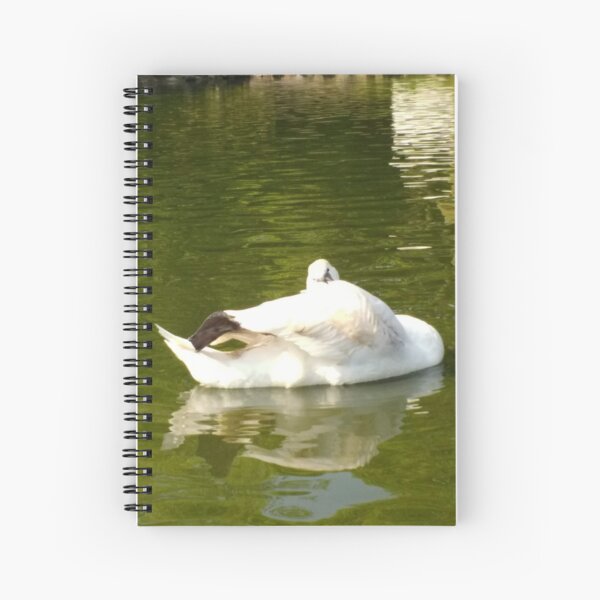 Merch #59 -- Swan - Shot 17 (Pearson Park) Spiral Notebook