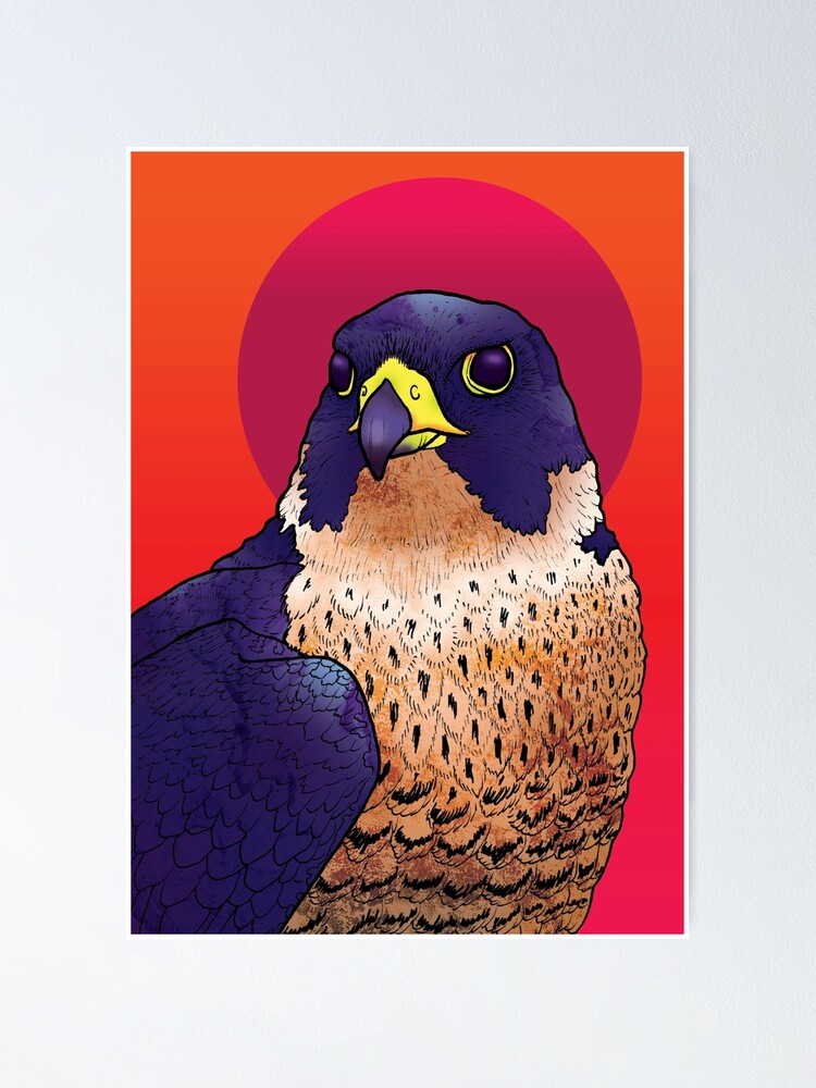 Vintage Peregrine Falcon Shirt Sunset T Shirts, Hoodies, Sweatshirts &  Merch