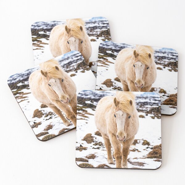 Artikelvorschau, Iceland Horse entworfen und verkauft von Kana Photography.
