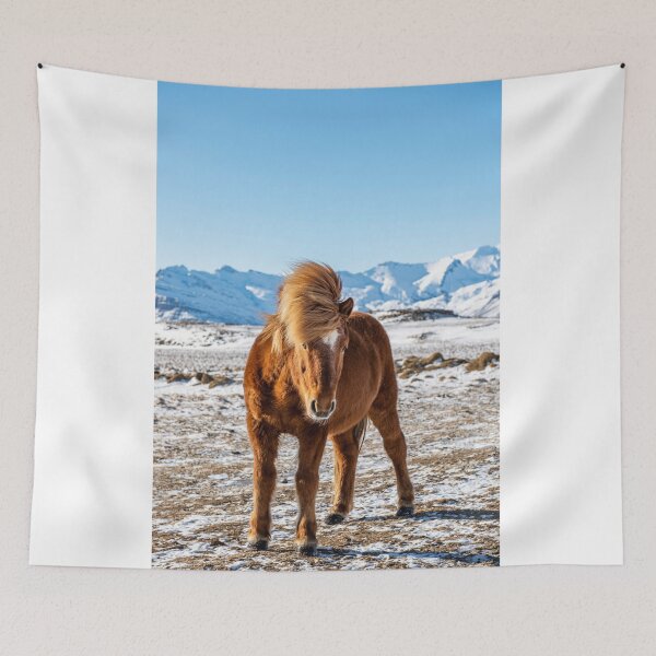 Artikelvorschau, Icelandic horse entworfen und verkauft von Kana Photography.