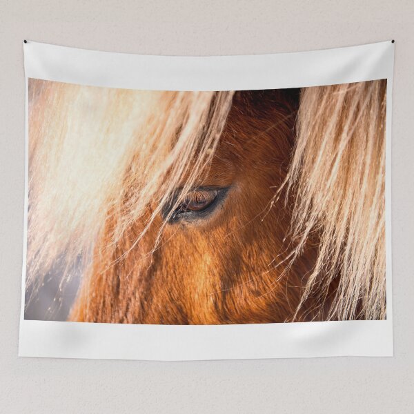 Artikelvorschau, Icelandic Horse entworfen und verkauft von Kana Photography.