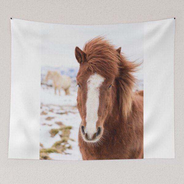 Artikelvorschau, Icelandic horses entworfen und verkauft von Kana Photography.