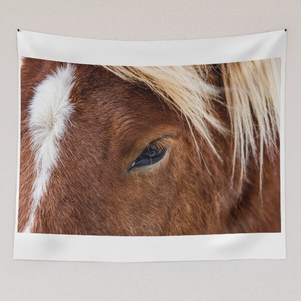 Artikelvorschau, Icelandic horse entworfen und verkauft von Kana Photography.