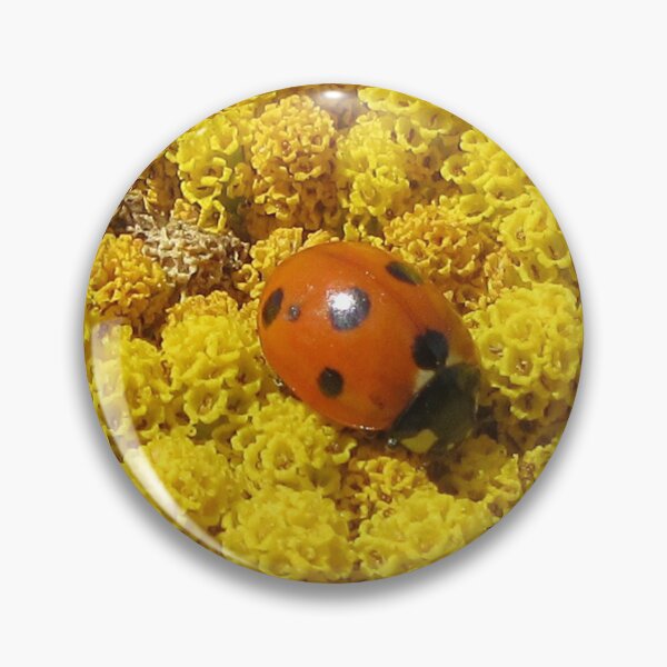 Item preview, Ladybird (Coccinellidae) on Achillea  designed and sold by lezvee.