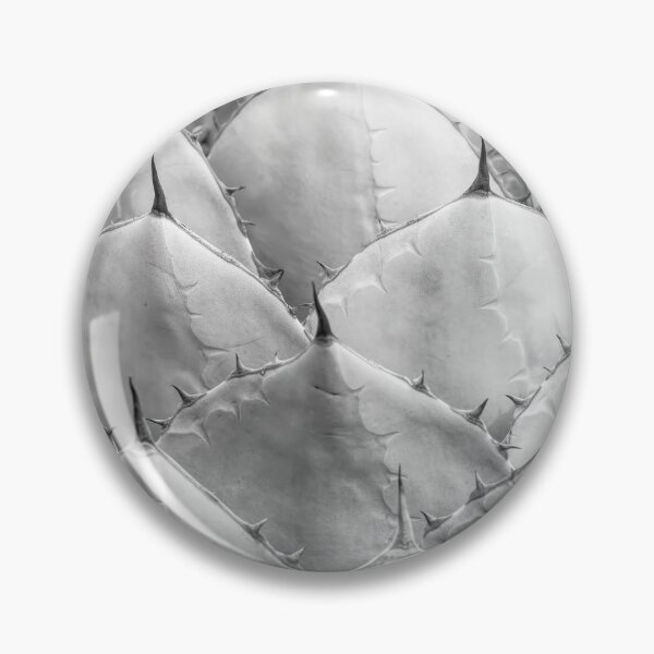 Artikelvorschau, Agave Close Up BW entworfen und verkauft von Elisabeth Lucas.