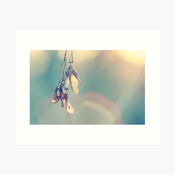 Item preview, Lovely winter sun designed and sold by Jeanette Dobrindt.