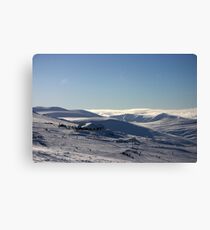 Ptarmigan & beyond, Cairngorm & Monadhliath Canvas Print
