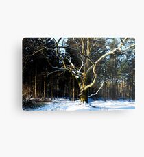 Saying Goodbye to winter Metal Print