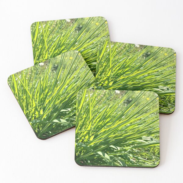 Item preview, Piercing grass designed and sold by lucielitchi.