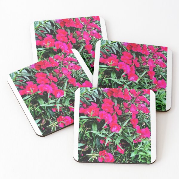 Item preview, Sweet William Flowers designed and sold by ciarameadows.