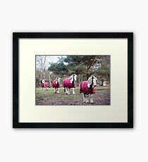 Take four!!!!!!!!! Framed Print