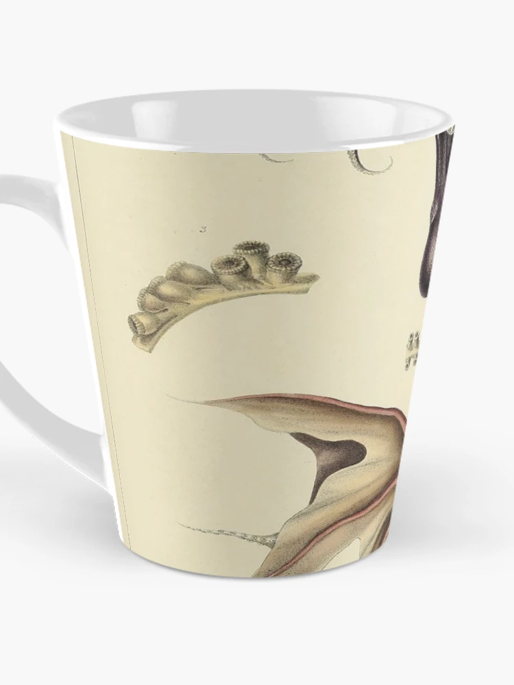 Thumbnail 3 von 4, Kaffeebecher, Histoire naturelle générale et particulière... designt und verkauft von Rodeoclash.