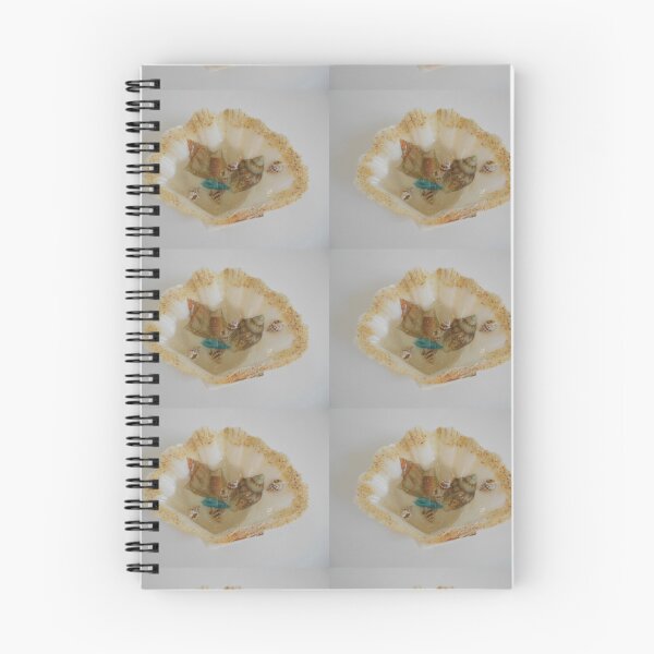 Item preview, Shell Decor, Summer Memories, Mixed Media Art designed and sold by GKstudio.