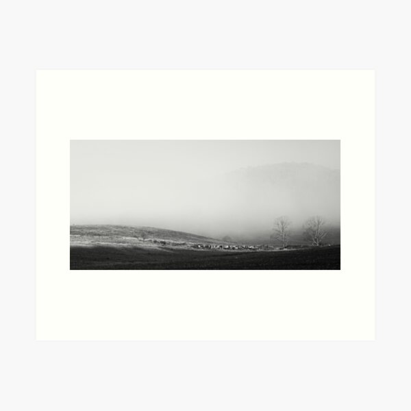 Early Morning Fog Art Print